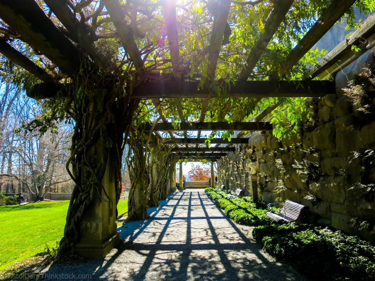 TOUR DA ATLANTA A NEW ORLEANS 78