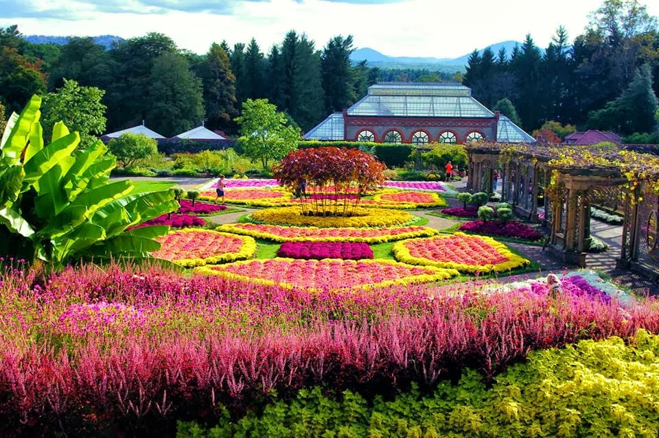 TOUR DA ATLANTA A NEW ORLEANS 77