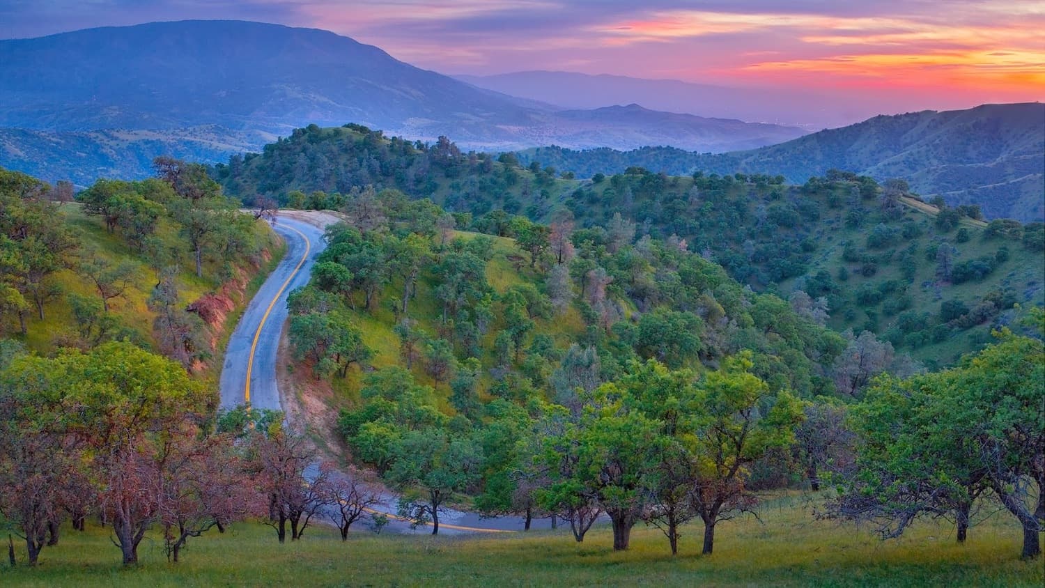 TOUR WEST + STOP A SAN FRANCISCO 98