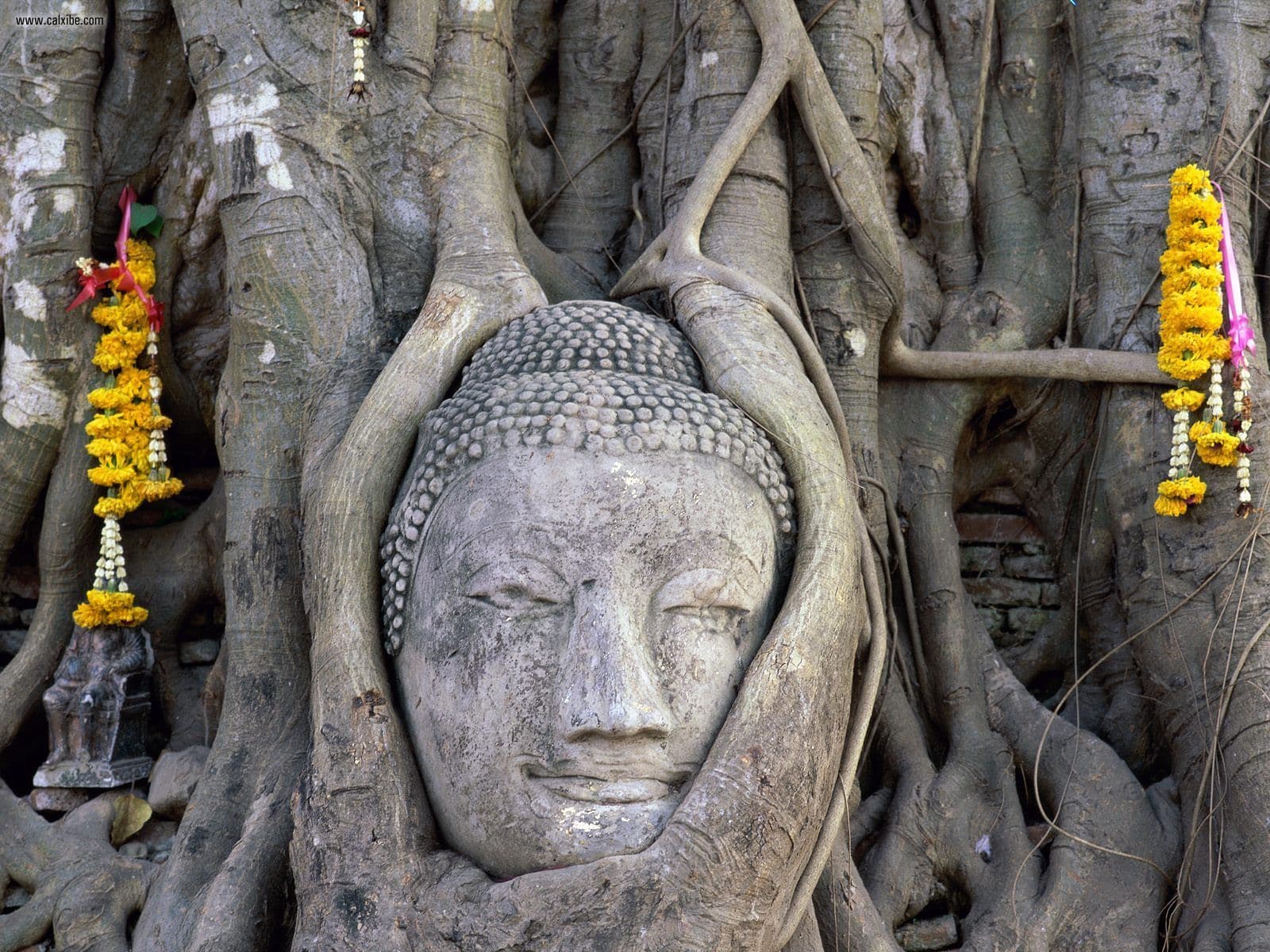 THAILANDIA CON IL FIUME KWAY + PHUKET 14