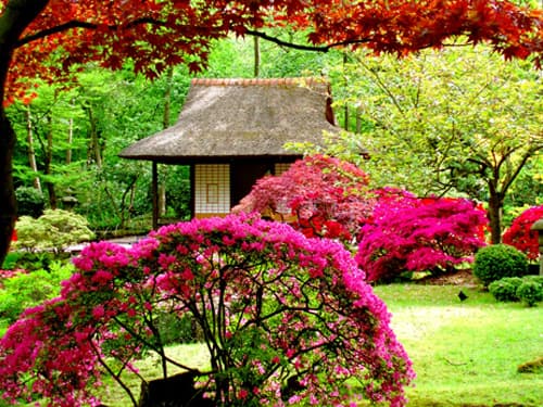 THAILANDIA CON MEKONG + KOH SAMET 27