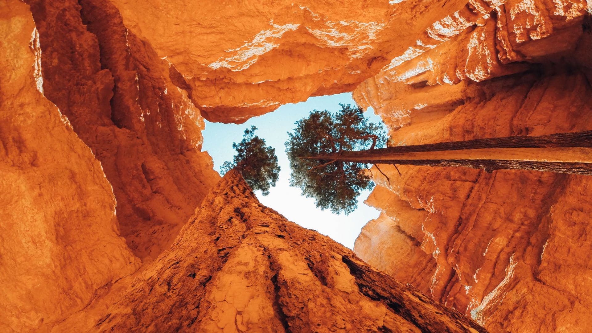 TOUR WEST + STOP A SAN FRANCISCO 65