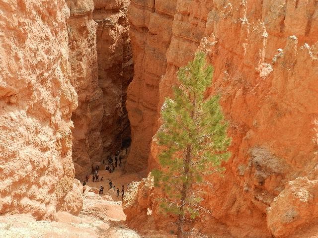 TOUR WEST + STOP A SAN FRANCISCO 66