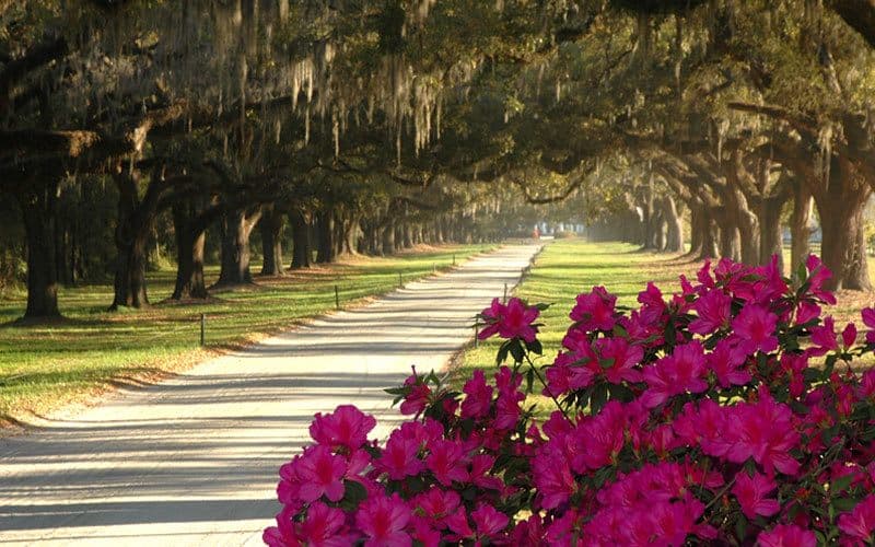 TOUR DA ATLANTA A NEW ORLEANS 63