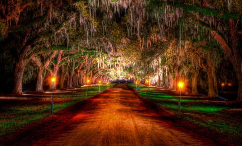 TOUR DA ATLANTA A NEW ORLEANS 49