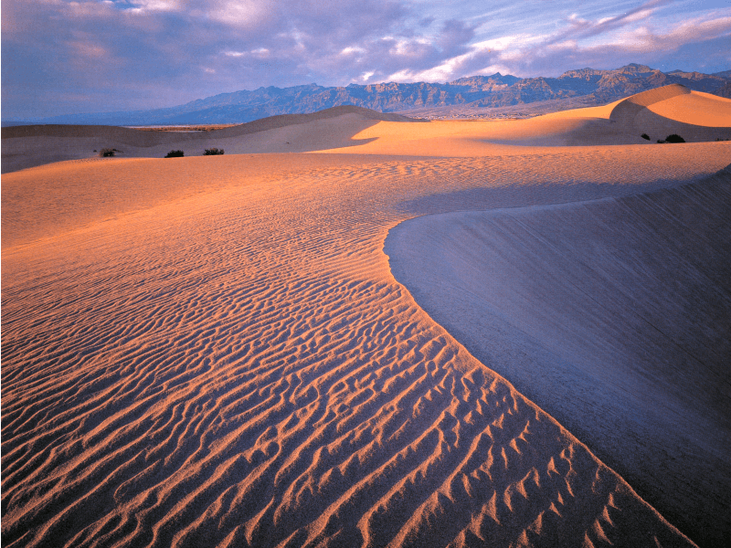 TOUR WEST + STOP A SAN FRANCISCO 80