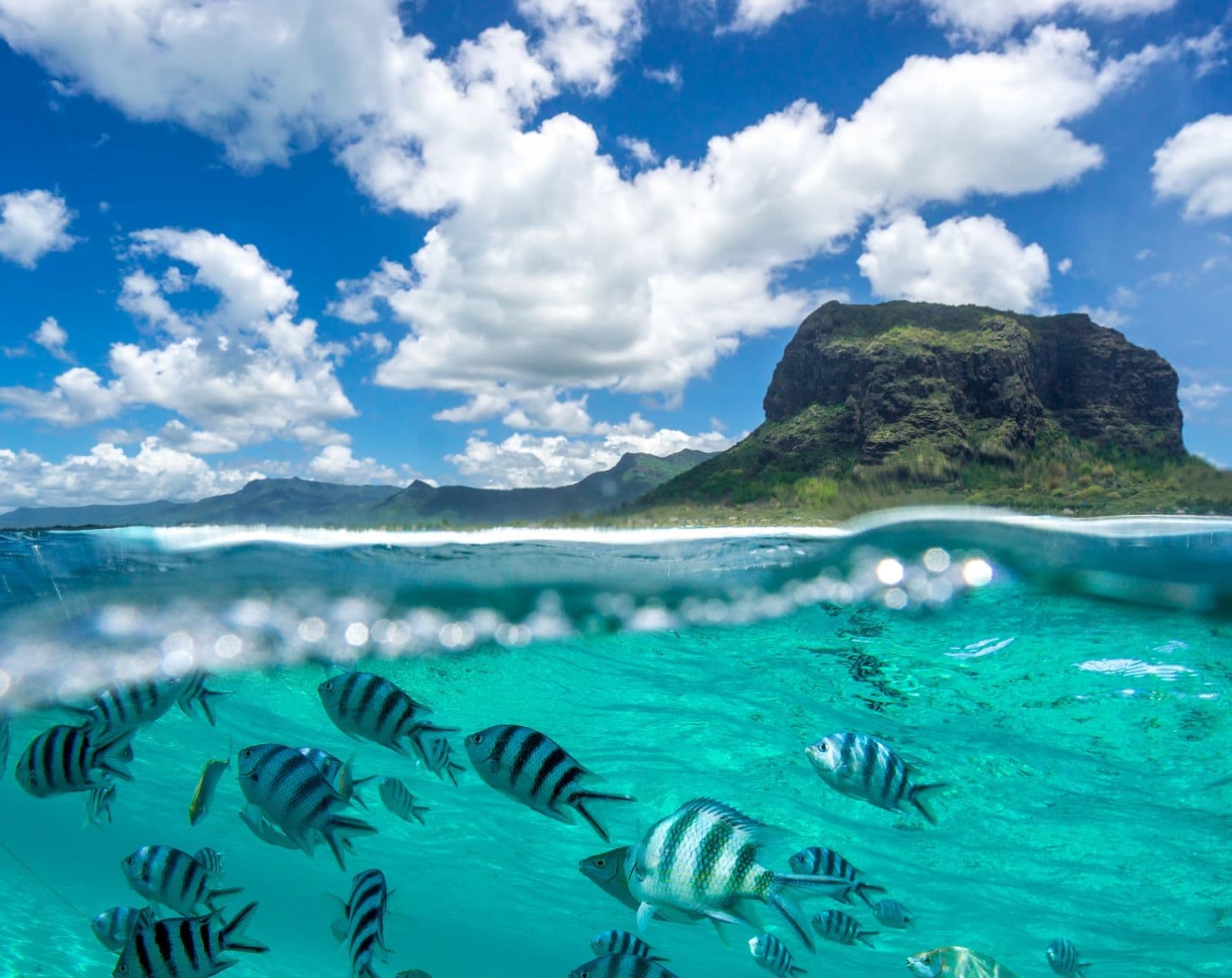 DUBAI + MAURITIUS 31