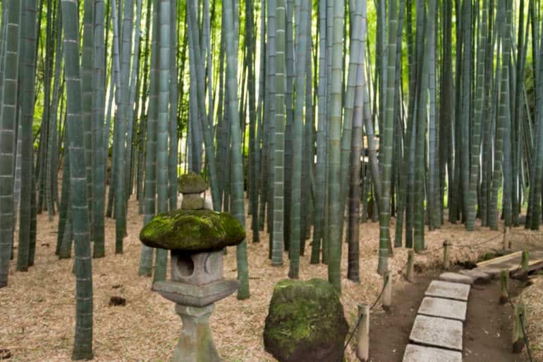 EASY GIAPPONE PER COPPIE GLOBETROTTERS 31