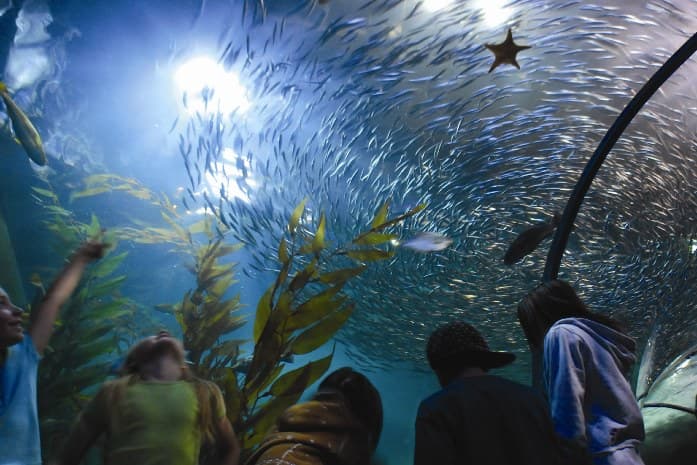 TOUR WEST + STOP A SAN FRANCISCO 142