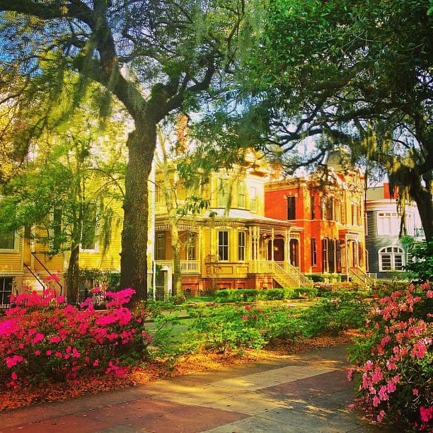 TOUR DA ATLANTA A NEW ORLEANS 35