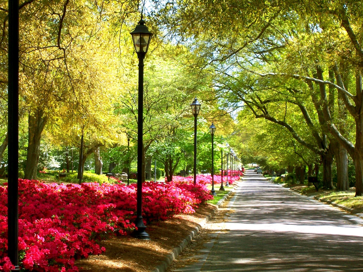 TOUR DA ATLANTA A NEW ORLEANS 34