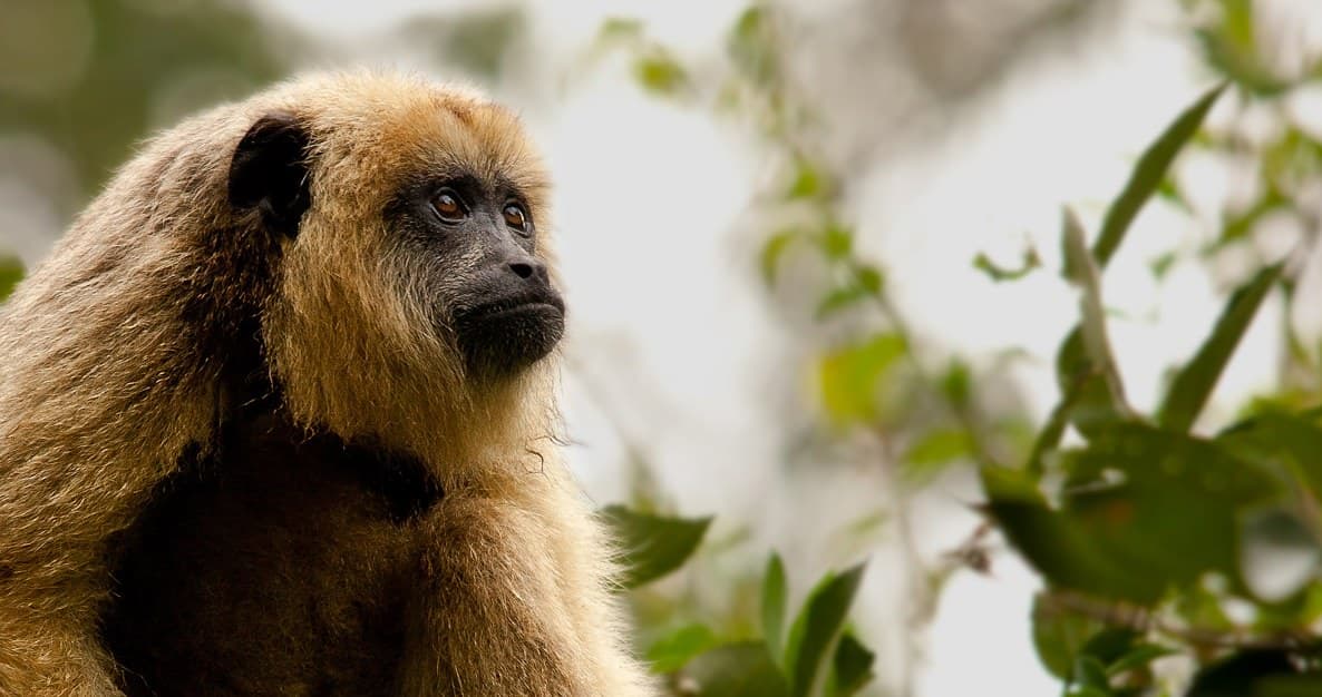 CITTA' DEL MESSICO , GUATEMALA + CHIAPAS & YUCATAN 41