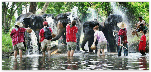THAILANDIA CON IL FIUME KWAY + PHUKET 56