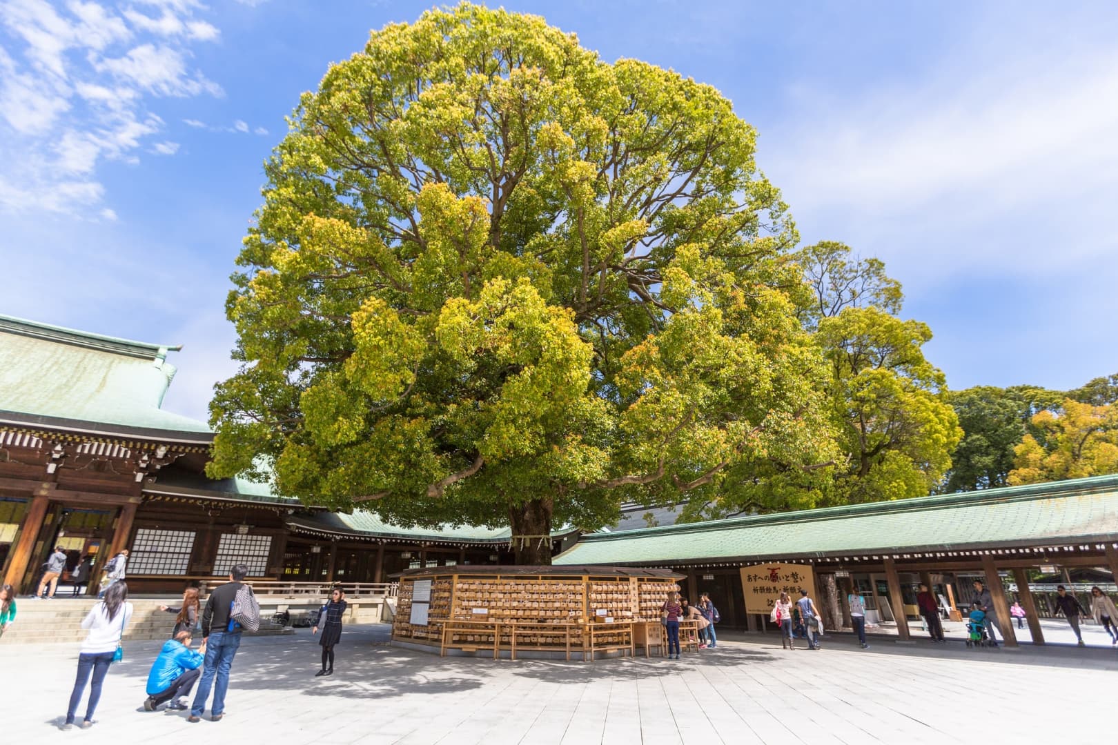 EASY GIAPPONE PER COPPIE GLOBETROTTERS 21