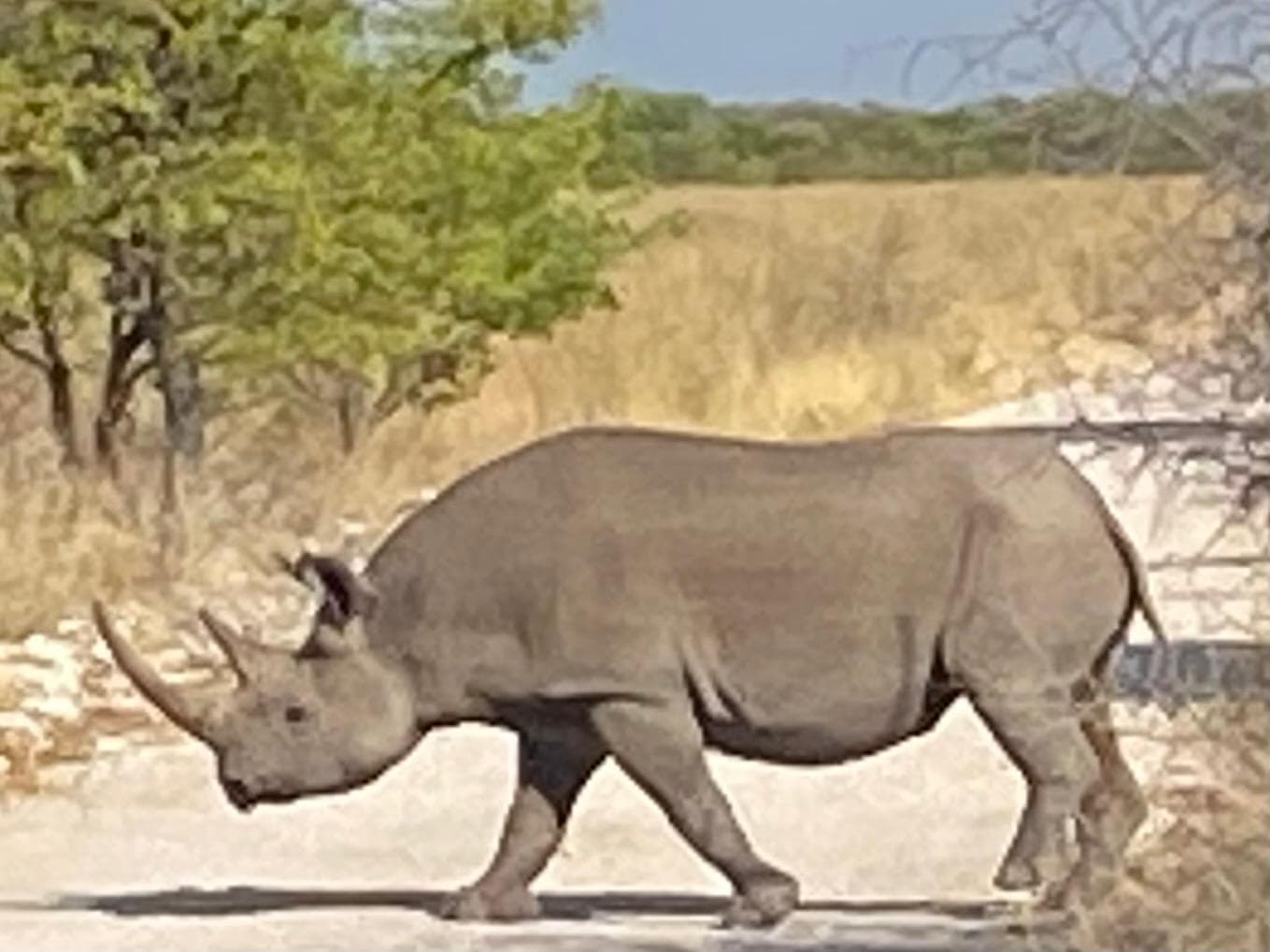 Namibia d’Autore - Scatto 1