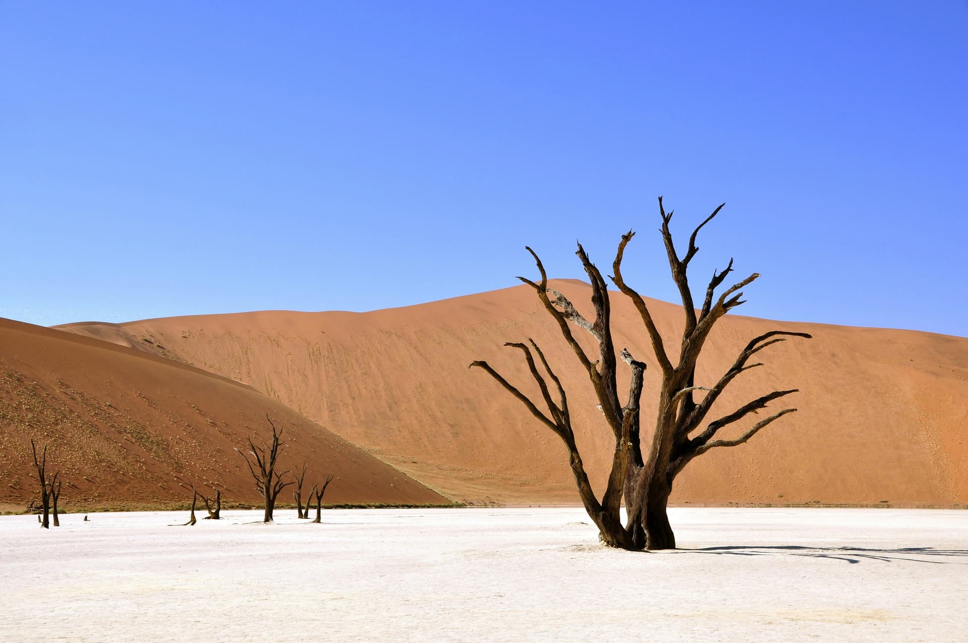 Namibia d’Autore - Scatto 4