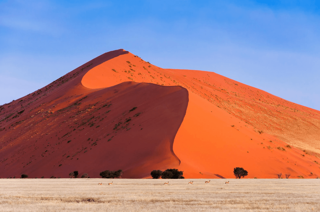 Viaggio di gruppo in Namibia - Scatto 3