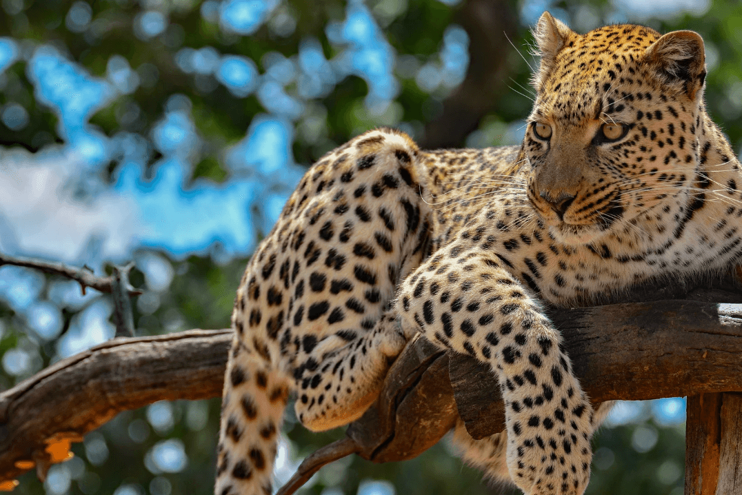 Viaggio di gruppo in Namibia - Scatto 7