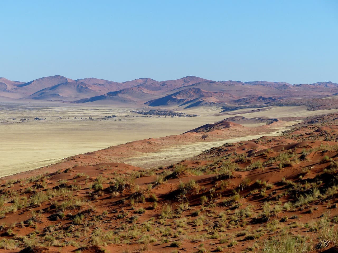 NAMIBIA- SELF DRIVE 2026 - Scatto 8