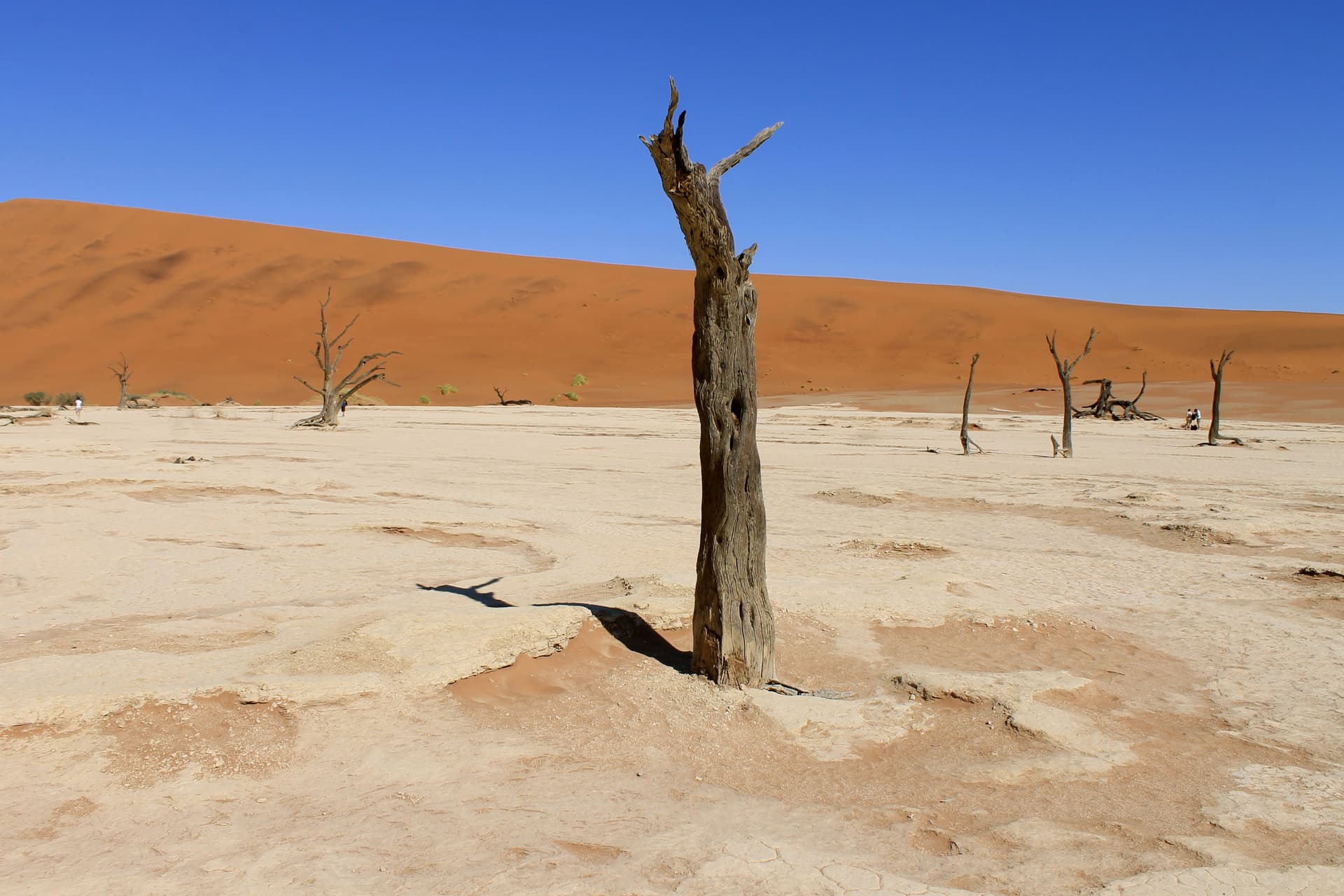 Namibia in gruppo - Scatto 4