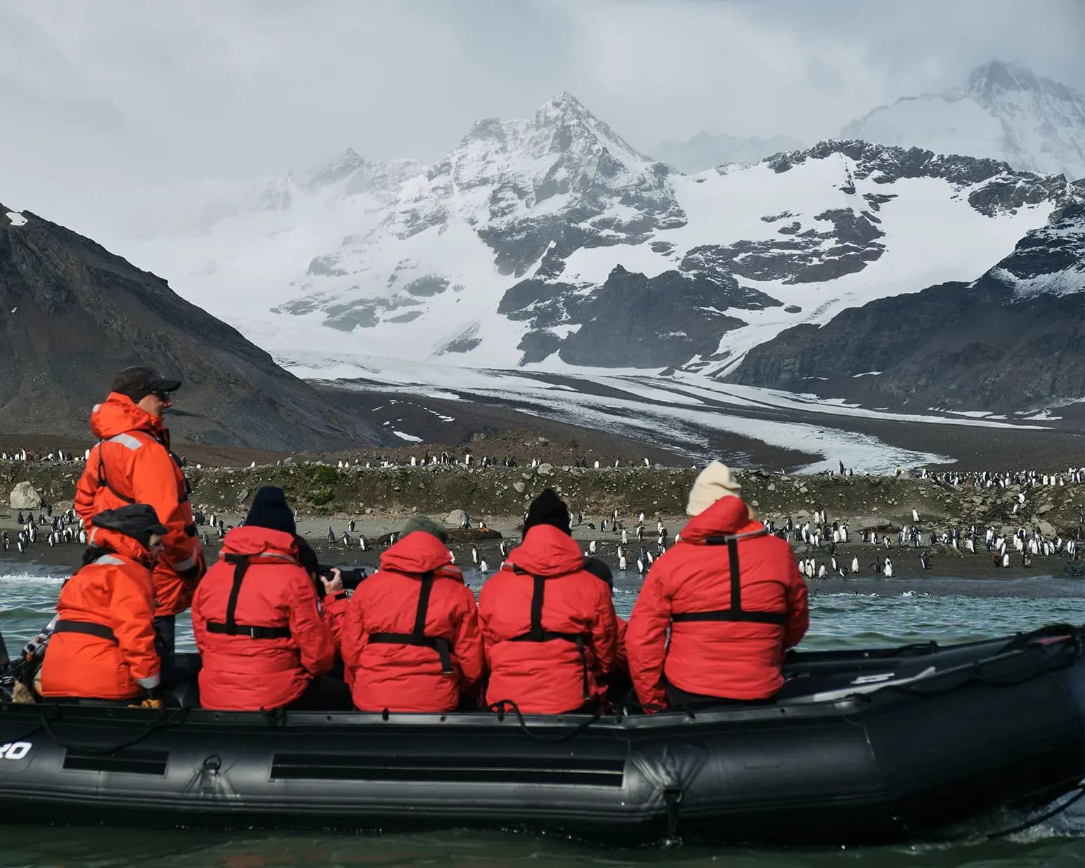 Antartide, Georgia del Sud e Falkland - Scatto 3