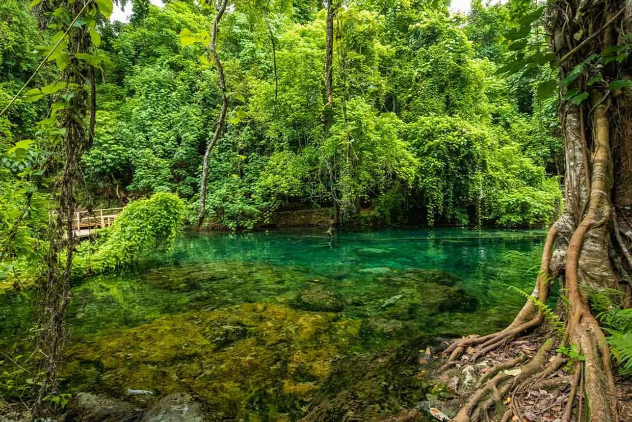 Spedizione a Vanuatu  - Scatto 3