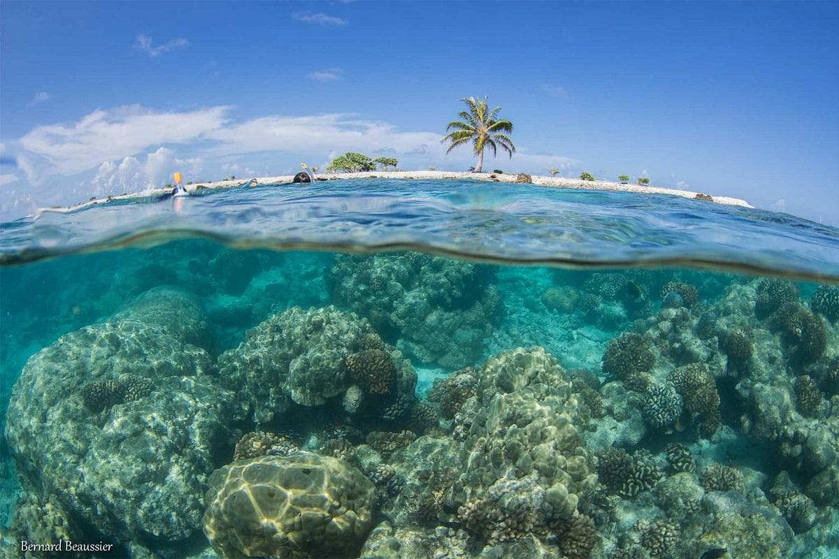 Polinesia Francese: tra lagune, motu e atolli da sogno - Scatto 4