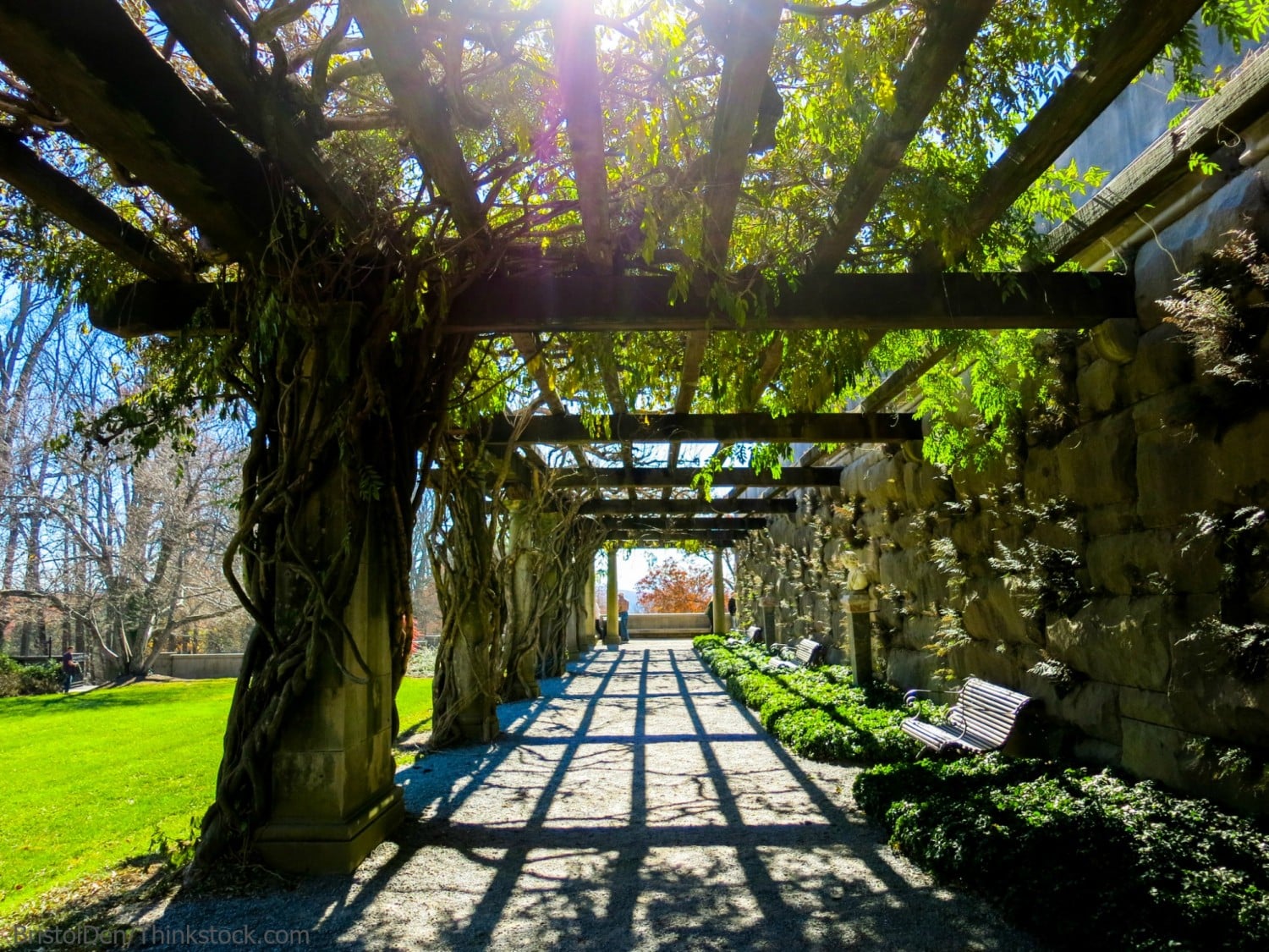 TOUR DA ATLANTA A NEW ORLEANS 78