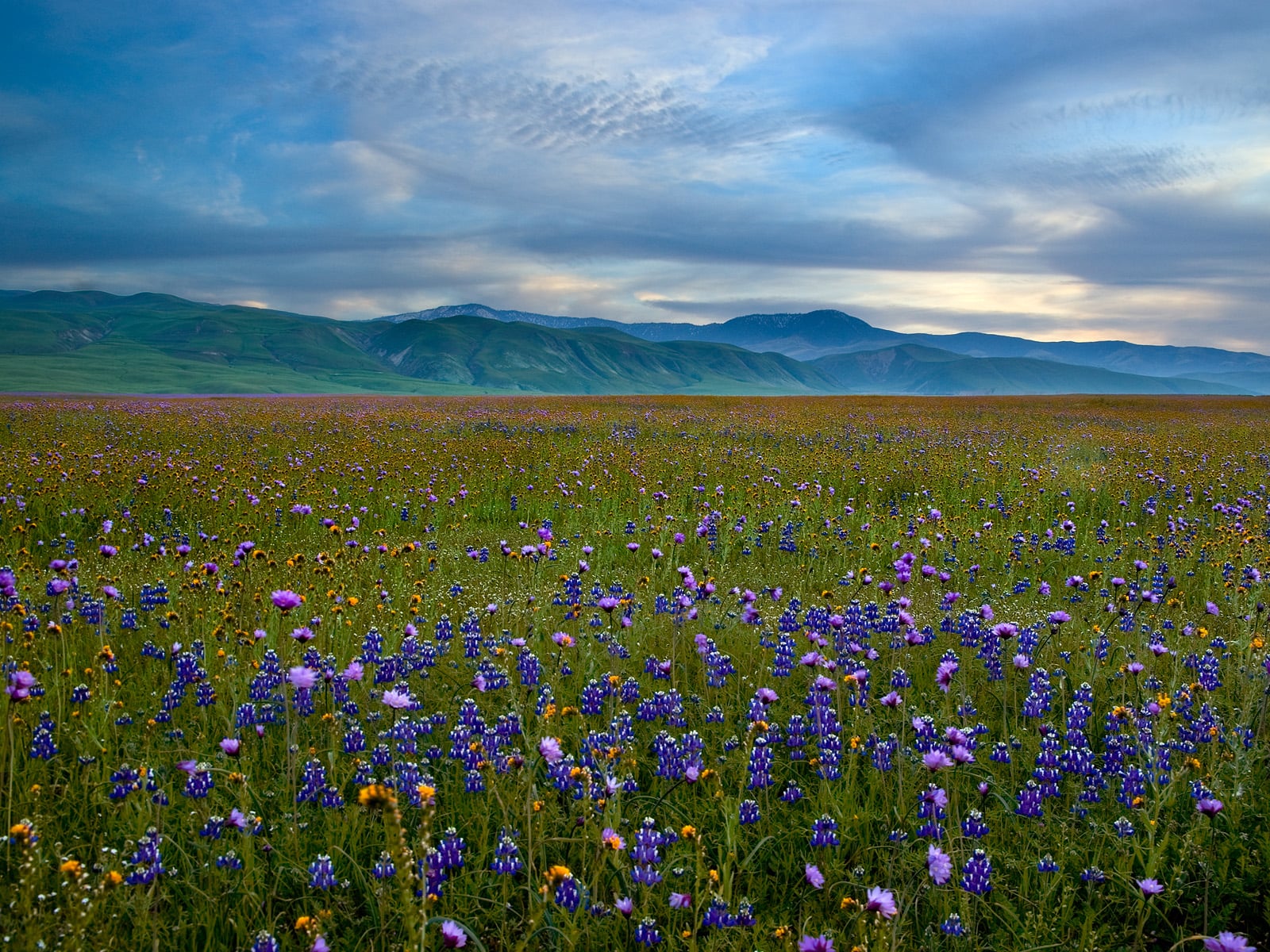 TOUR WEST + STOP A SAN FRANCISCO 97