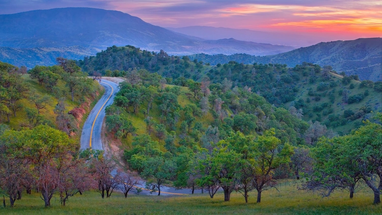 TOUR WEST + STOP A SAN FRANCISCO 98