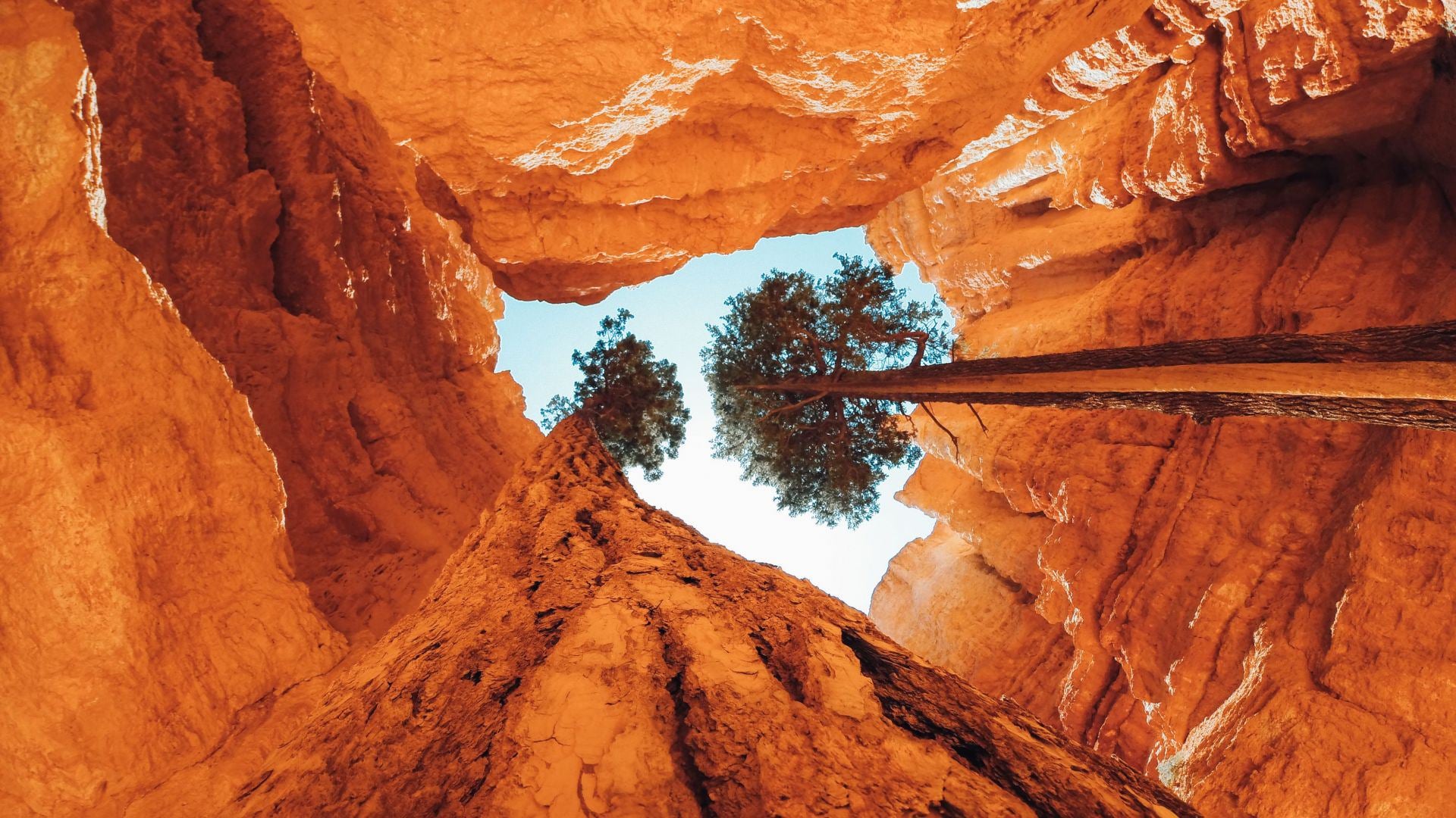 TOUR WEST + STOP A SAN FRANCISCO 65