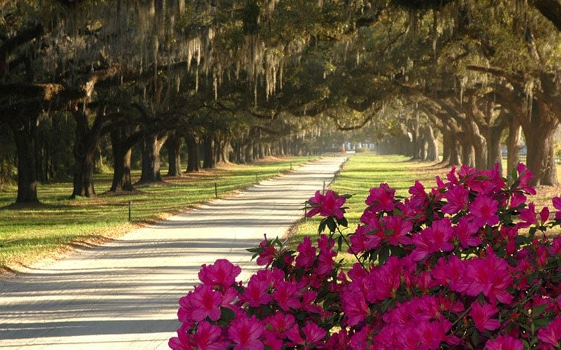 TOUR DA ATLANTA A NEW ORLEANS 63