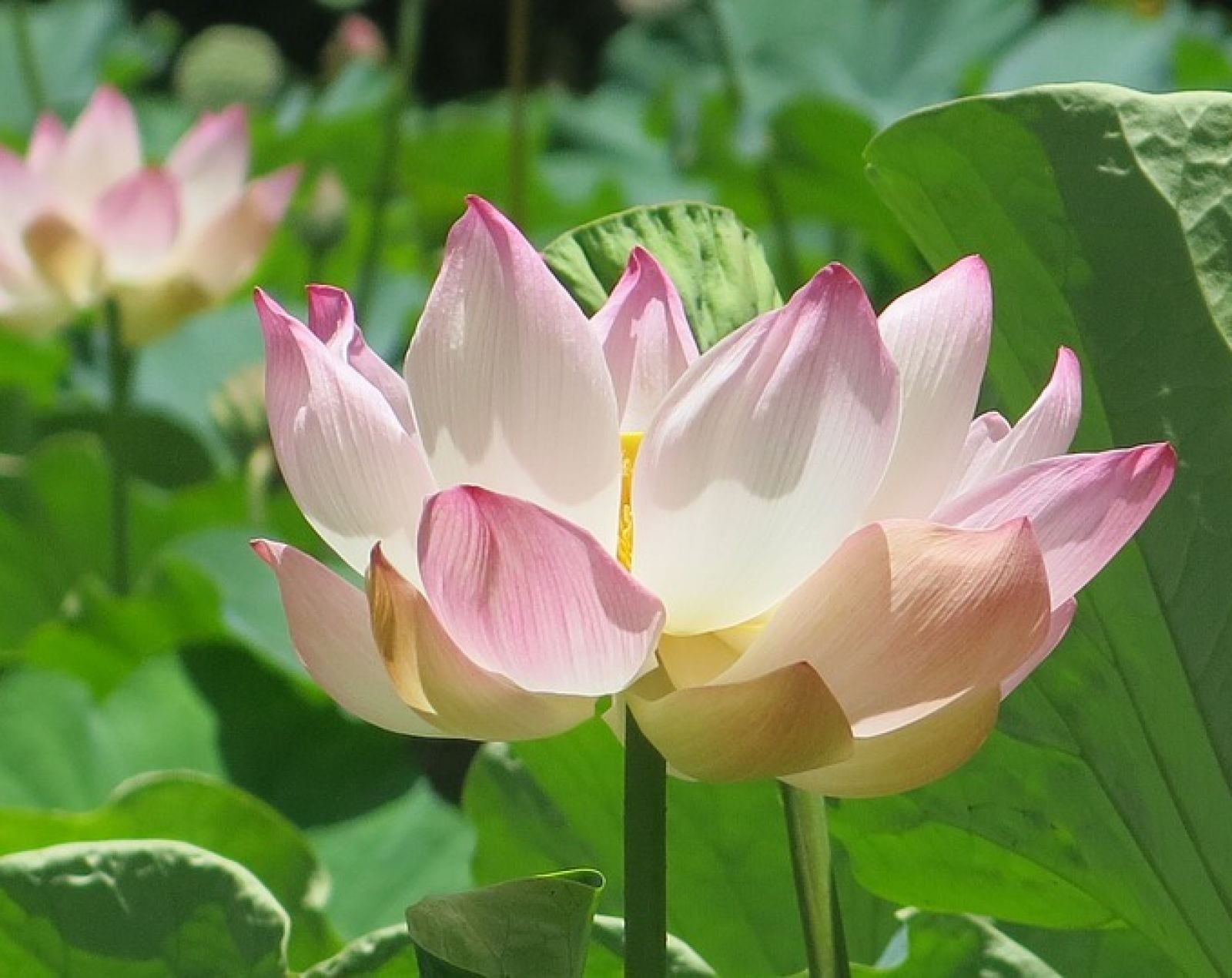 DUBAI + MAURITIUS 37