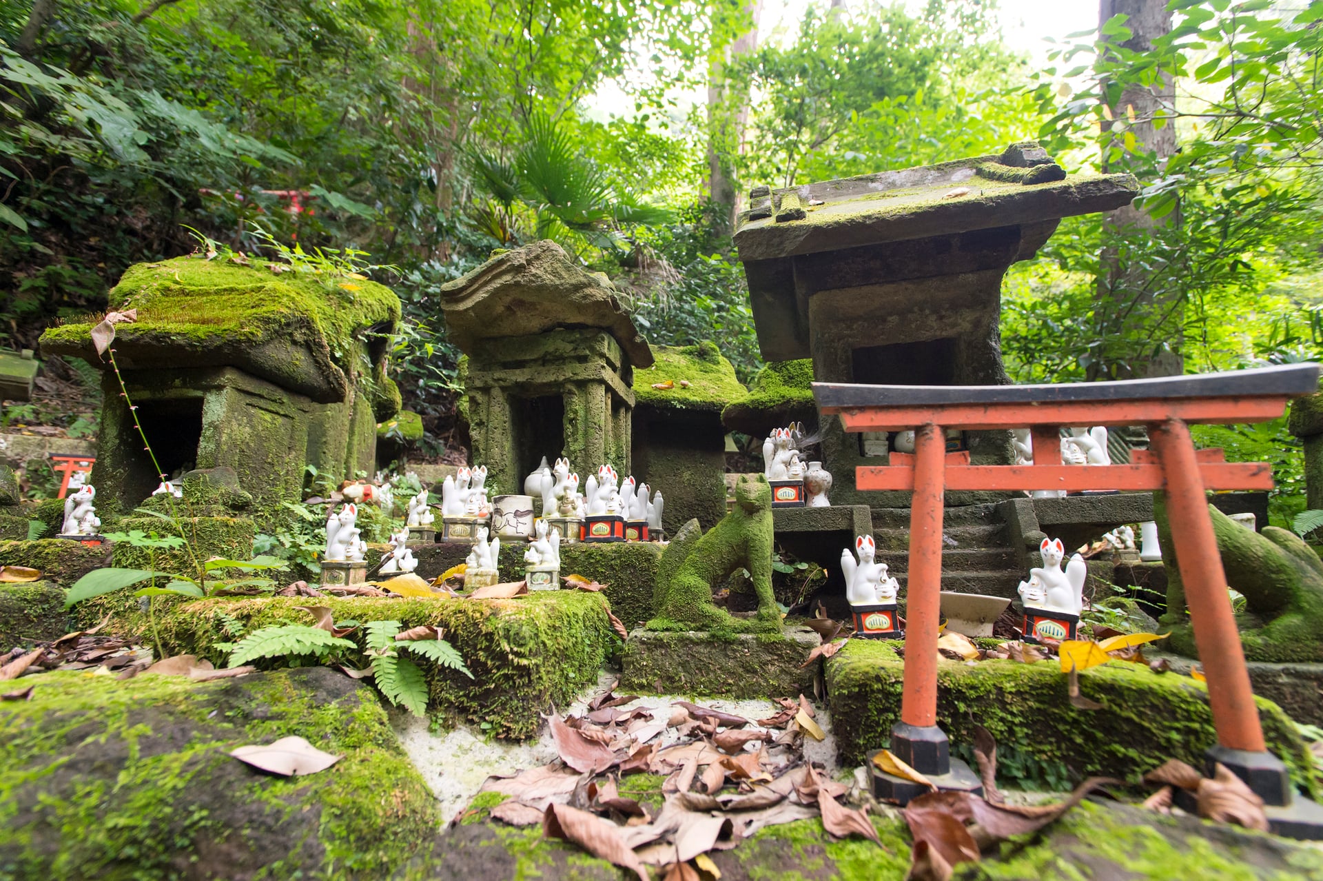 EASY GIAPPONE PER COPPIE GLOBETROTTERS 103