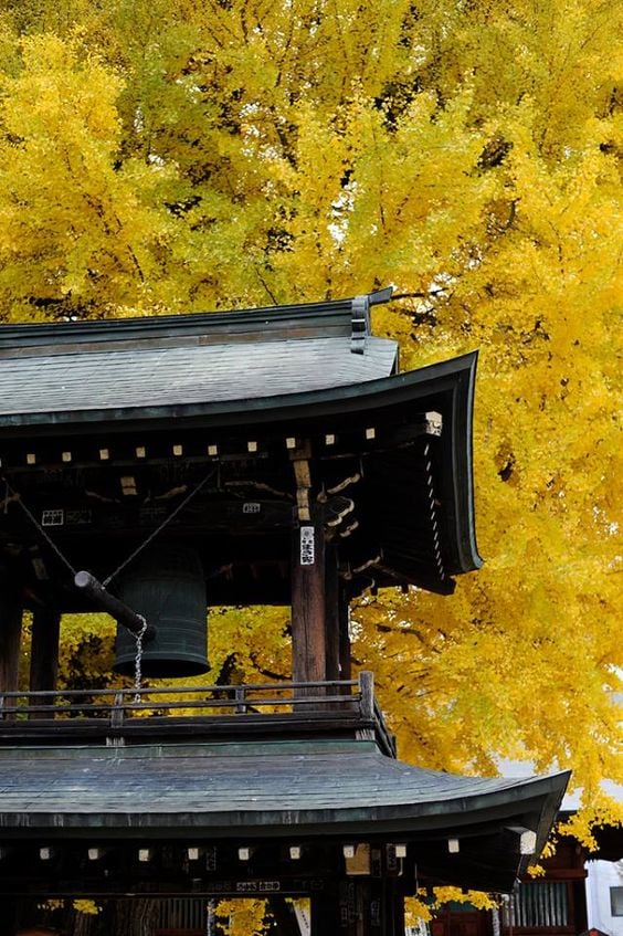 EASY GIAPPONE PER COPPIE GLOBETROTTERS 44