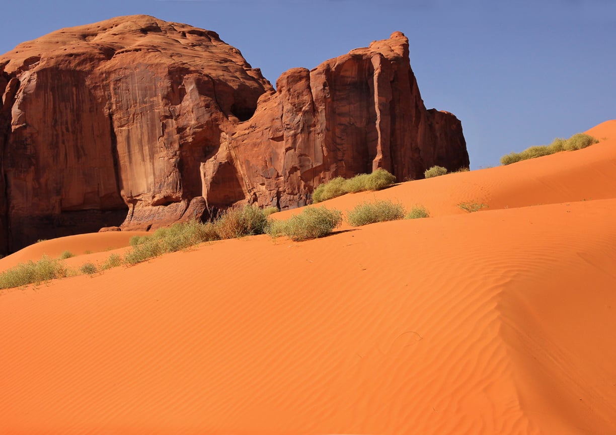 TOUR WEST + STOP A SAN FRANCISCO 40