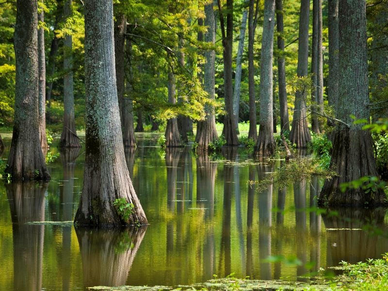 TOUR DA ATLANTA A NEW ORLEANS 147