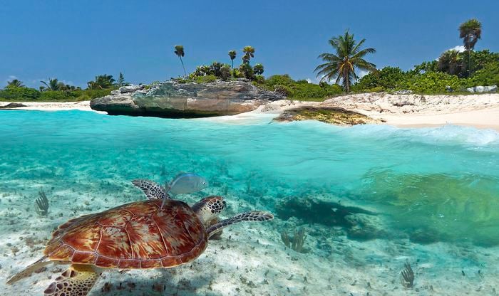 CITTA' DEL MESSICO , GUATEMALA + CHIAPAS & YUCATAN 89