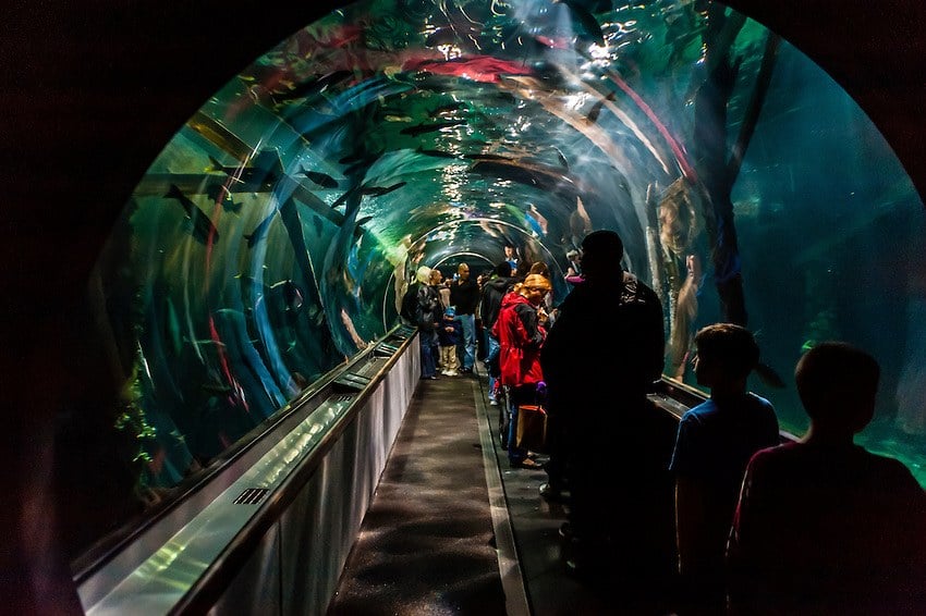 TOUR WEST + STOP A SAN FRANCISCO 143