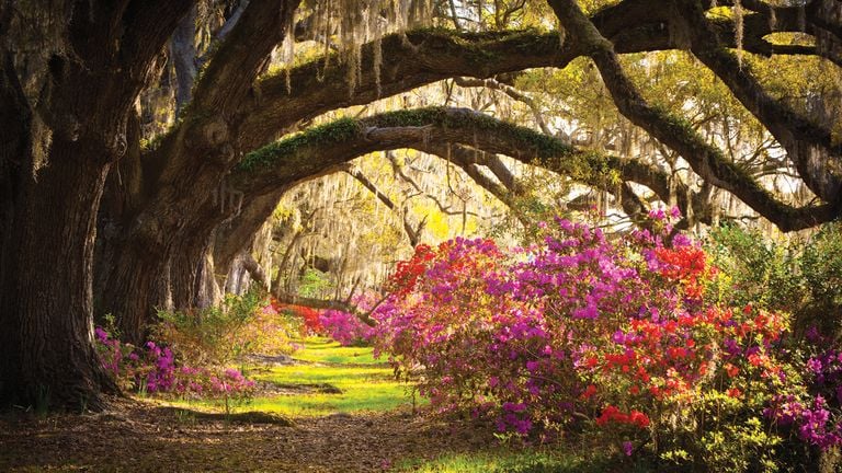 TOUR DA ATLANTA A NEW ORLEANS 32