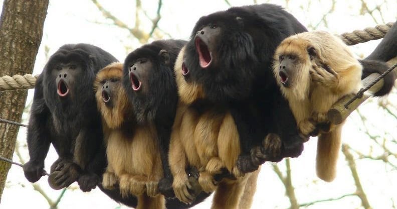 CITTA' DEL MESSICO , GUATEMALA + CHIAPAS & YUCATAN 43