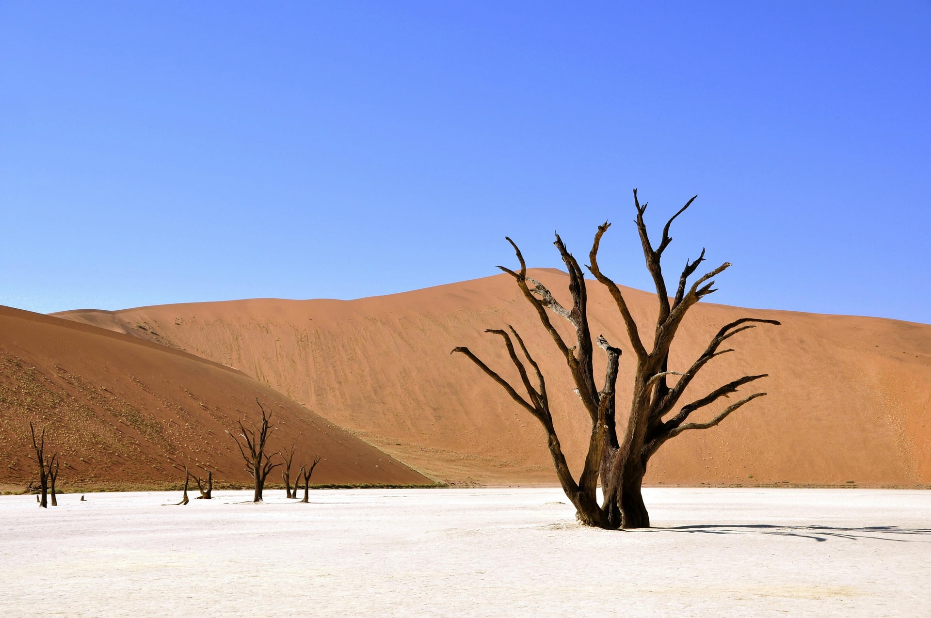 Namibia d’Autore 4