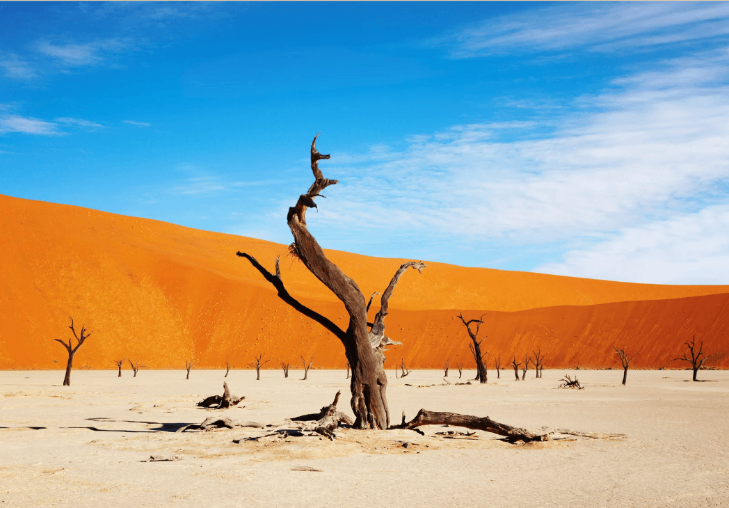 di gruppo in Namibia