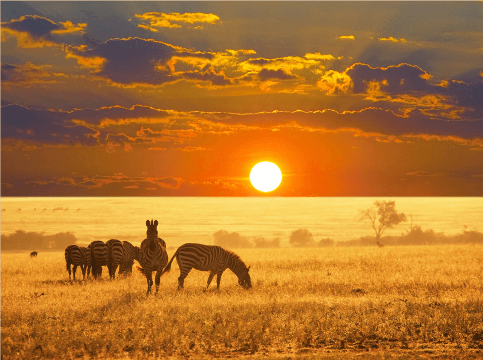 Viaggio di gruppo in Namibia 1