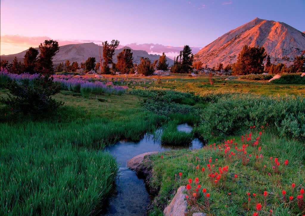 TOUR WEST + STOP A SAN FRANCISCO 106