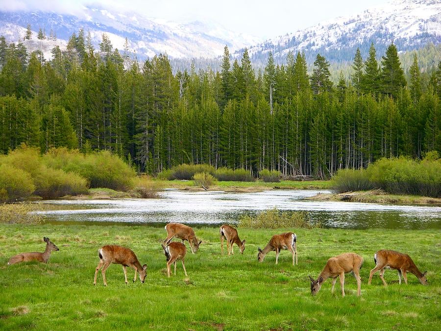 TOUR WEST + STOP A SAN FRANCISCO 105