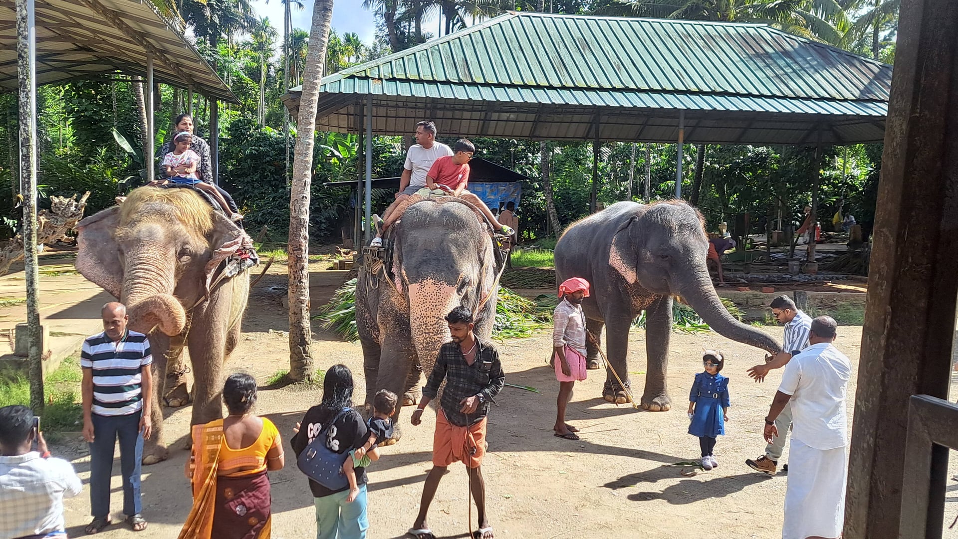 India del Sud - Scatto 1