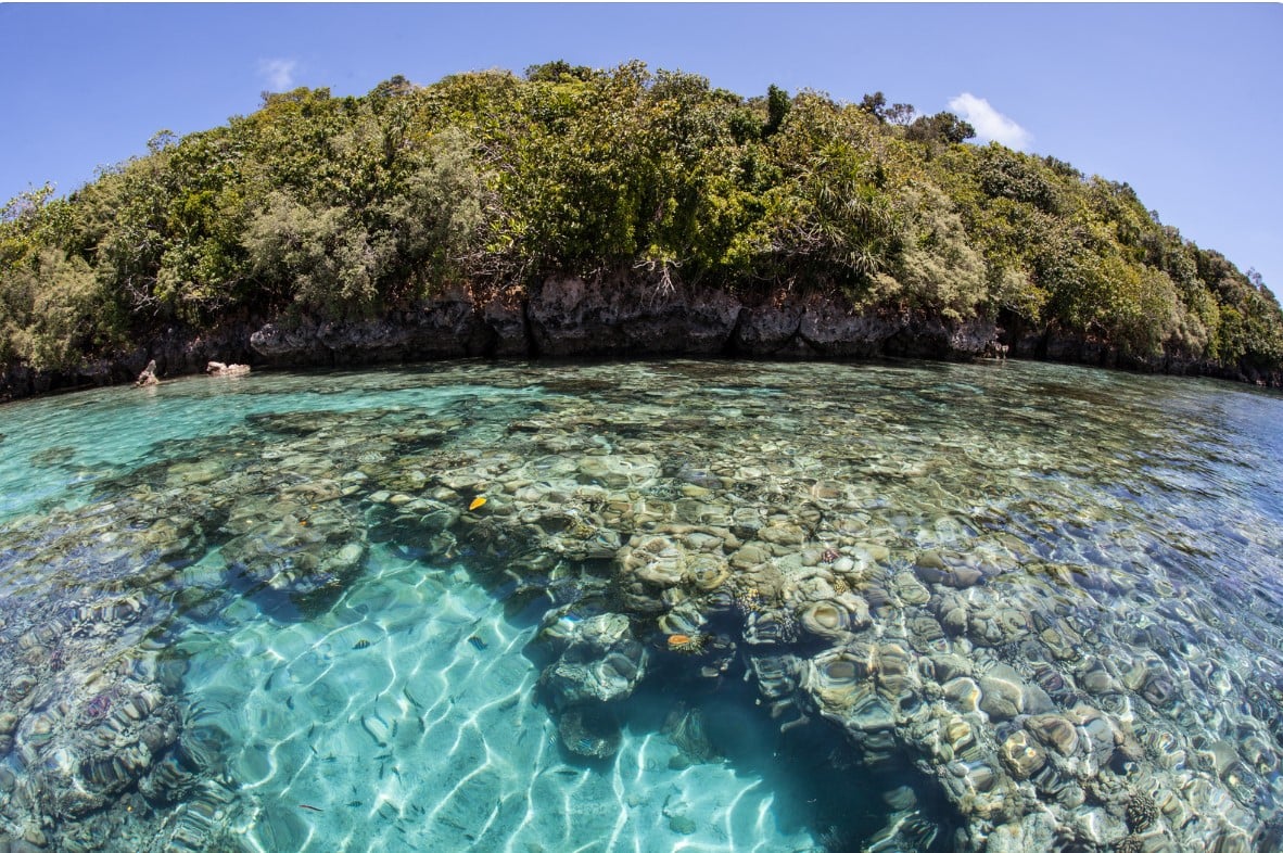 Diving in Micronesia Go Deluxe - Scatto 2