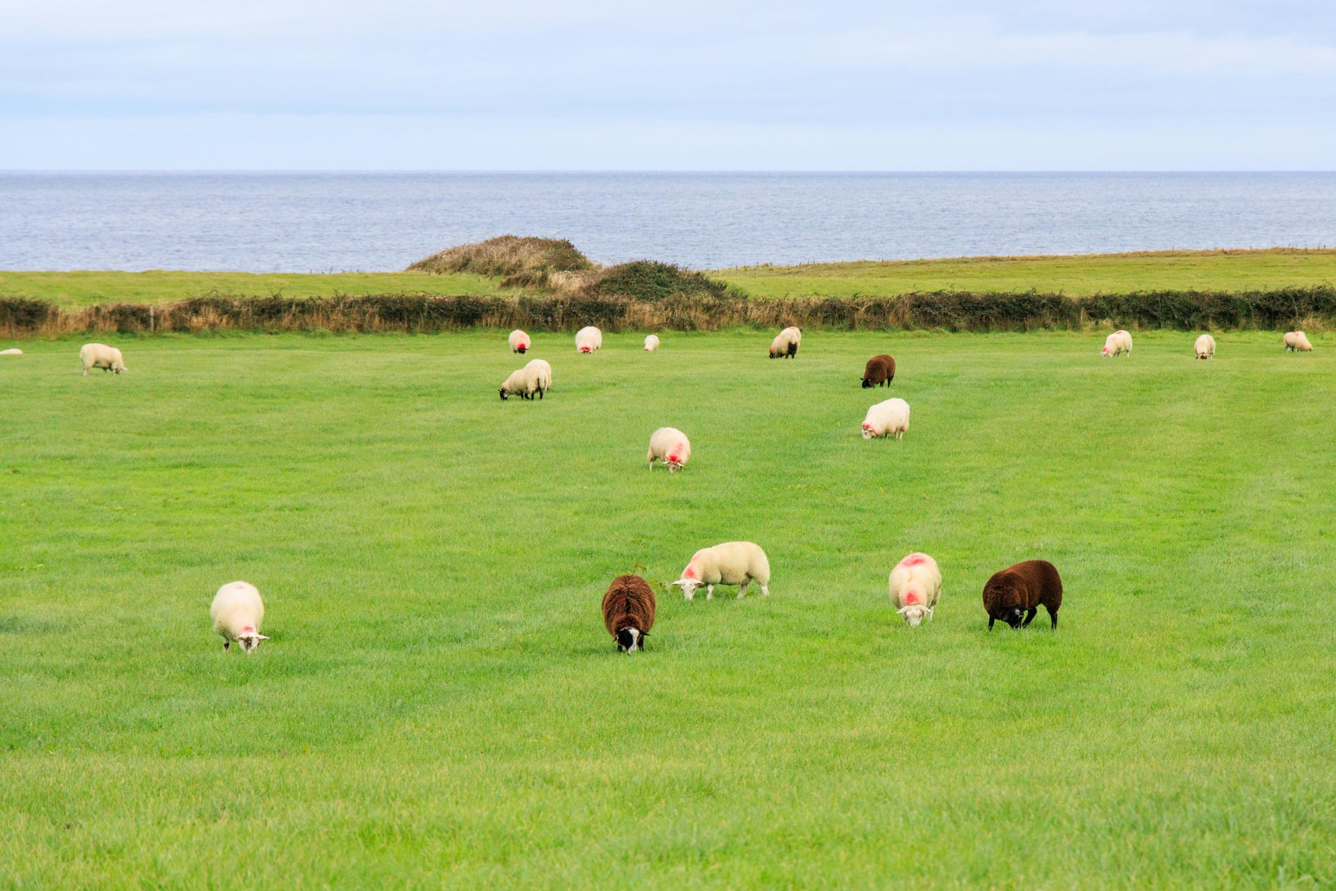 Dublino e Irlanda del Nord 2
