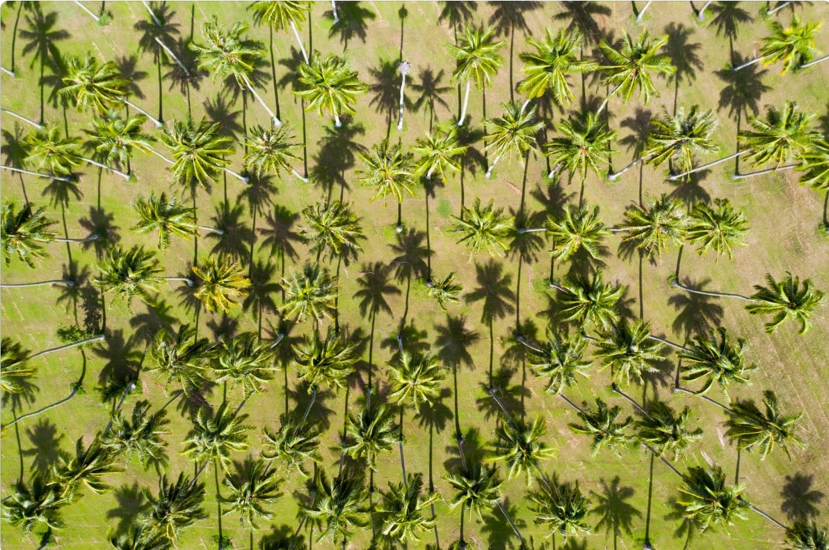 Francese low cost: Moorea, Bora Bora e Tahiti